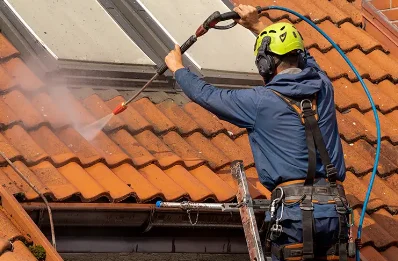 Démoussage et hydrofuge de toiture à Billième